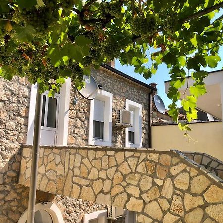 Vila Razic Danilovgrad 外观 照片