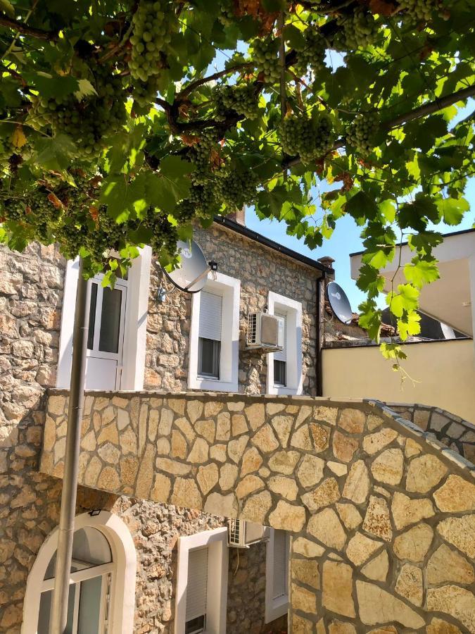 Vila Razic Danilovgrad 外观 照片