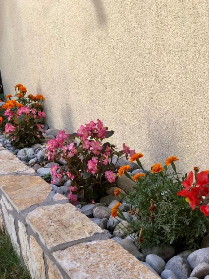 Vila Razic Danilovgrad 外观 照片