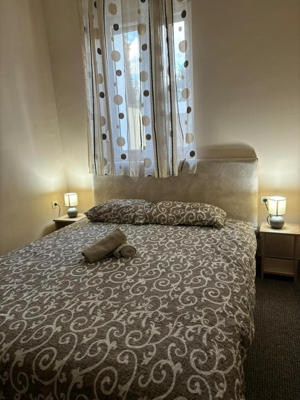 Vila Razic Danilovgrad 外观 照片